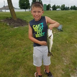 Meet your Posher, Robert